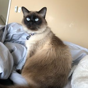 Meet your Posher, Jennifer